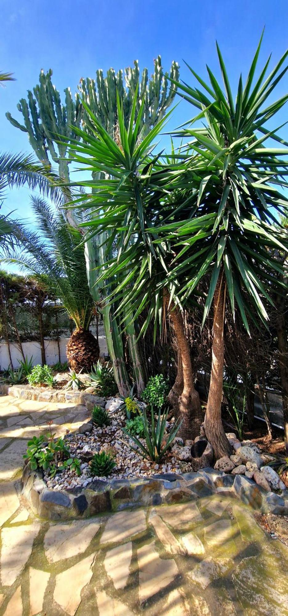 Casa Buganvilla L'Ametlla de Mar Bagian luar foto